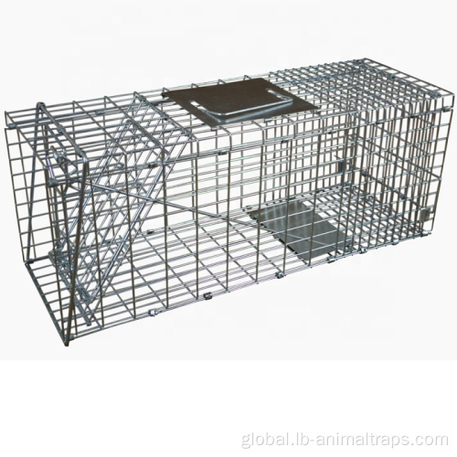 Live Animal Cage Trap Squirrel Cage Trap With Foot Paddle Factory